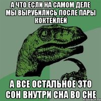 А что если на самом деле мы вырубились после пары коктейлей а все остальное это сон внутри сна во сне