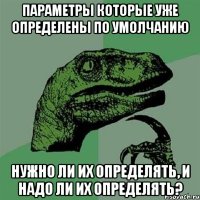 Параметры которые уже определены по умолчанию нужно ли их определять, и надо ли их определять?