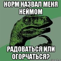 Норм назвал меня неймом радоваться или огорчаться?