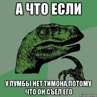 А что если у пумбы нет тимона,потому что он съел его