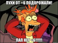 ПУХИ ОТ +6 ПОДОРОЖАЛИ! ЛАП НЕТ +6!!!!!!