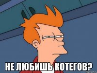  Не любишь котегов?