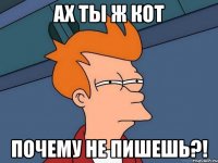 ах ты ж Кот почему не пишешь?!