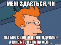 МЕНІ ЗДАЄТЬСЯ, ЧИ ПЕТЬКО СВИНЕЙ НЕ ПОГОДУВАВ? А ВЖЕ 6 ГОДИНА НА СЕЛІ...