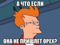 а что если она не пришлет орех?