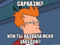 Сарказм? Или ты назвала меня занудой?