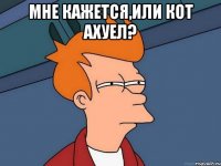 Мне кажется,или кот ахуел? 