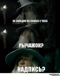 Не заходил на пикабу 2 часа рычажок? надпись?