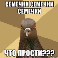 Семечки семечки семечки что прости???