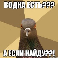 Водка есть??? А если найду??!