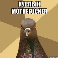 Курлык MOTHEFUCKER 