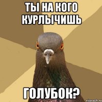 ты на кого курлычишь голубок?