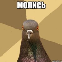 молись 