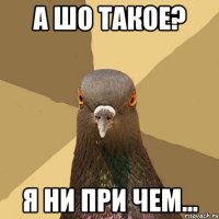 а шо такое? я ни при чем...