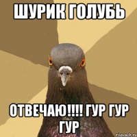 Шурик голубь Отвечаю!!!! Гур гур гур