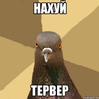 НАХУЙ ТЕРВЕР