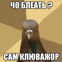 чо блеать ? сам клюважор