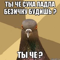 Ты че сука падла Безичку будишь ? Ты че ?