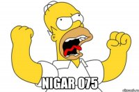  nigar 075