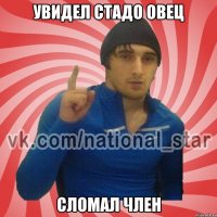 Увидел стадо овец Сломал член