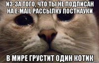 из-за того, что ты не подписан на e-mail рассылку ПостНауки в мире грустит один котик