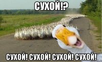 Сухой!? Сухой! сухой! Сухой! сухой!