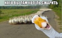 Кого вы там хотель сжарить 