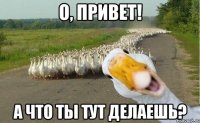 О, Привет! А что ты тут делаешь?