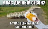 у вас дачный сезон? а у нас вебинары по расписанию!