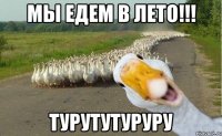 МЫ ЕДЕМ В ЛЕТО!!! турутутуруру