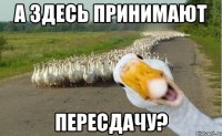 а здесь принимают ПЕРЕСДАЧУ?