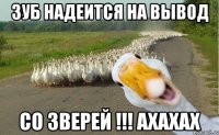 ЗУБ НАДЕИТСЯ НА ВЫВОД СО ЗВЕРЕЙ !!! АХАХАХ