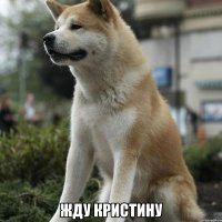  Жду Кристину