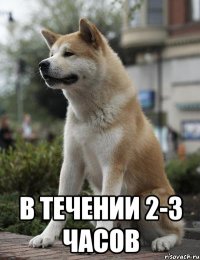  В течении 2-3 часов