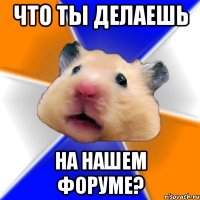 что ты делаешь на нашем форуме?