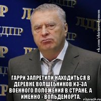  Гарри запретили находиться в деревне волшебников из-за военного положения в стране. А именно - Вольдеморта.