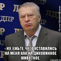  - Ну, ежьте, чего уставились на меня как на диковинное животное.