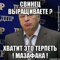 Свинец выращиваете ? Хватит это терпеть ! Мазафака !