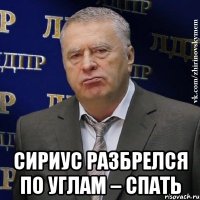  Сириус разбрелся по углам – спать