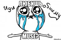 Любишь Muse?