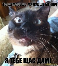 ты думавешь мх лудше меня?! Я ТЕБЕ ЩАС ДАМ!