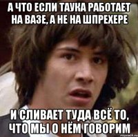 а что если Таука работает на вазе, а не на шпрехере и сливает туда всё то, что мы о нём говорим