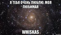 Я тебя очень люблю, моя любимая Whiskas