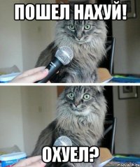 Пошел нахуй! Охуел?