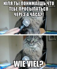 Юля,ты понимаешь,что тебе просыпаться через 4 часа?! Wie viel?