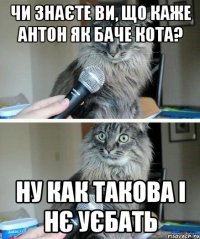 Чи знаєте Ви, що каже Антон як баче кота? Ну как такова і нє уєбать