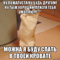 Ну пожалуста!Ну будь другом! Ну тыж хороший!Плиз!Я тебя умоляю!!!""" Можна я буду спать в твоей кровате