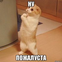 Ну пожалуста