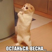  Останься, Весна...