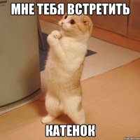 Мне тебя встретить Катенок